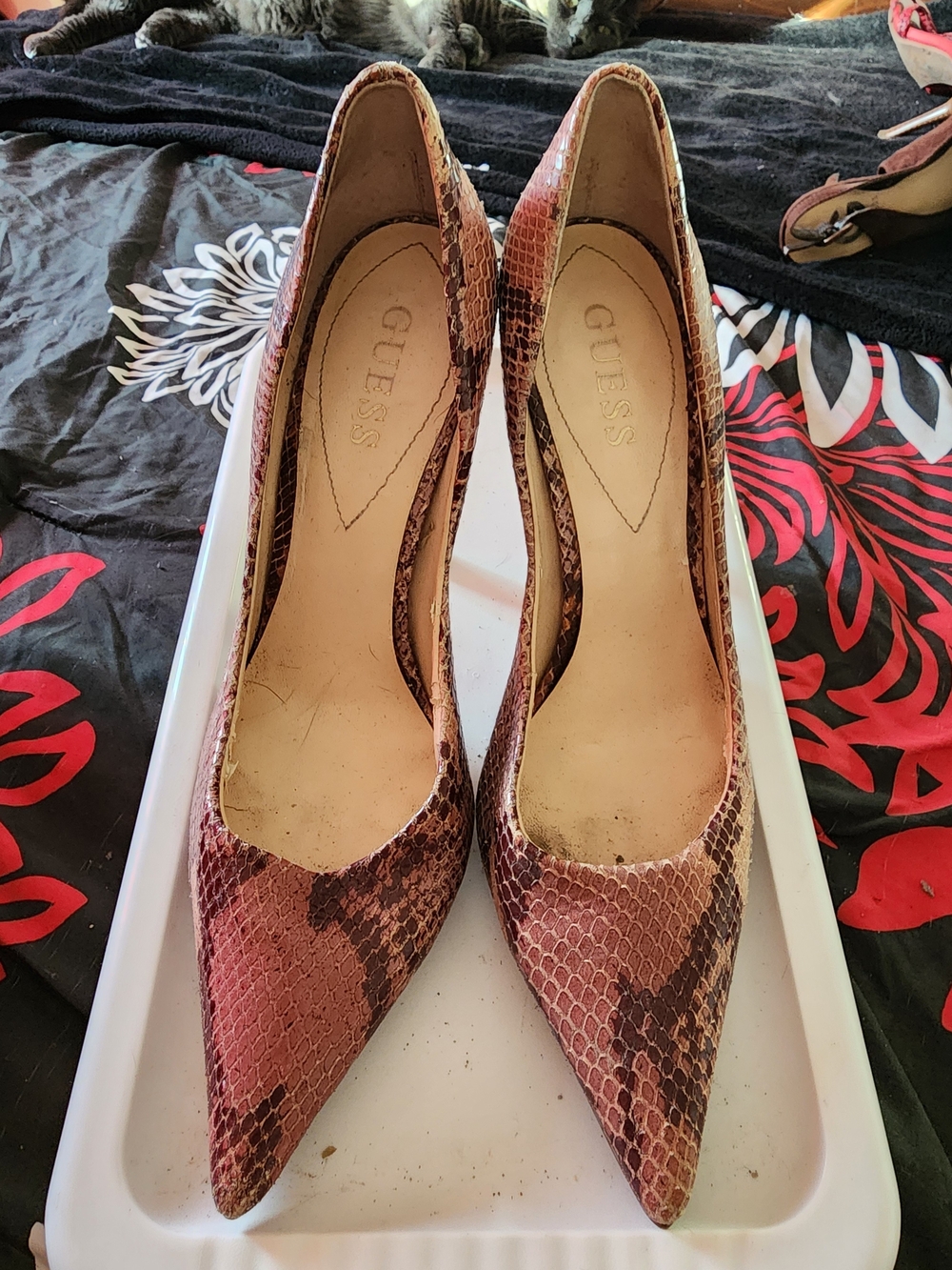 GUESS Snake-Print Pointed Toe Pumps in Brown and Tan